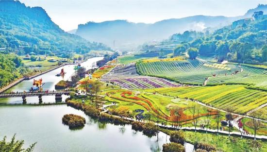 长江保护治理十年实践：生态修复与防洪体系双突破(图4)