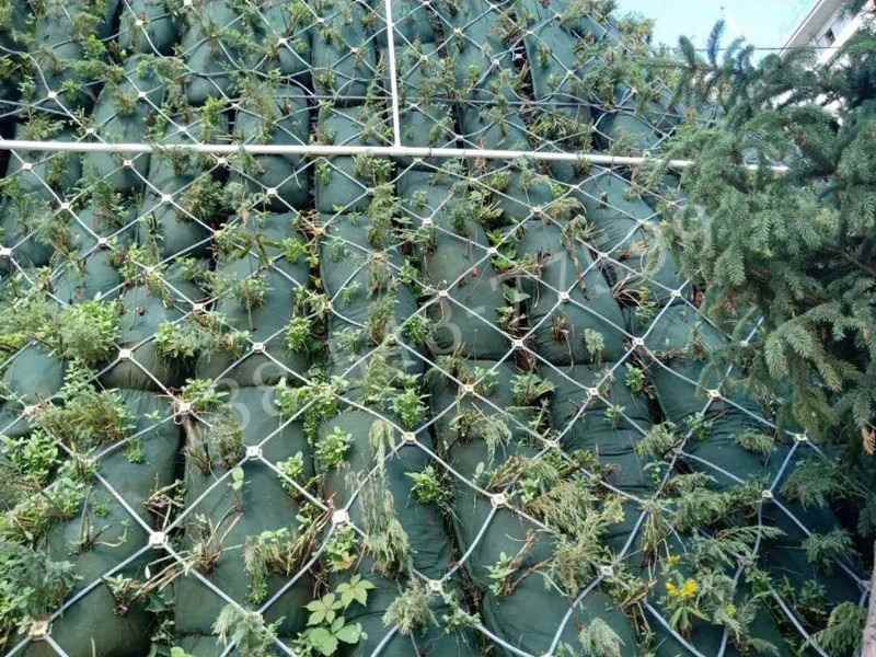 生态袋特性与应用解析：抗UV抗老化边坡防护材料