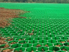 植草格(图1) 06.png