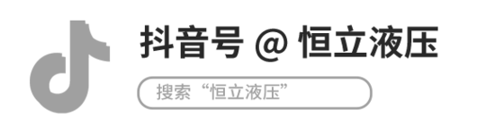 全电控双泵双马达闭式行走系统解决方案(图19)