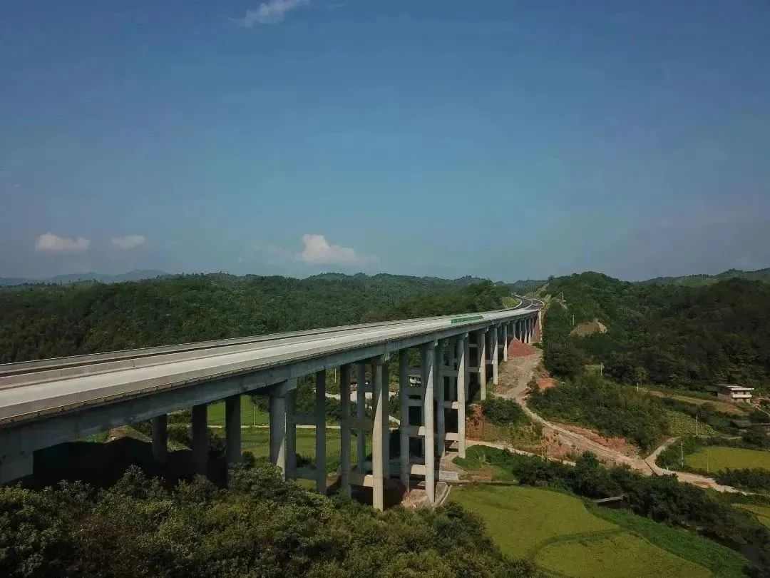 大成集团参建高速公路项目获江西建设工程最高荣誉杜鹃花奖(图3)