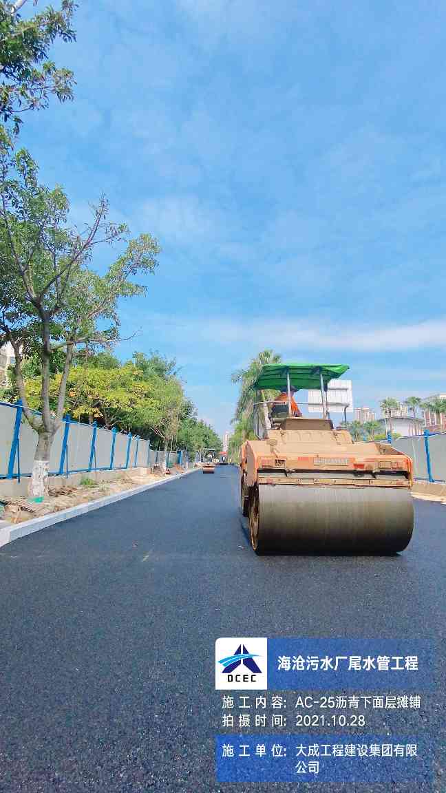 大成集团150天劳动竞赛圆满收官 多项目获佳绩提升企业竞争力(图15)