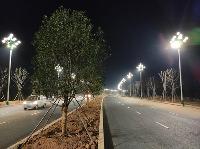 劳动竞赛激发建设热潮,项目团队攻坚克难显成效 劳动竞赛激发建设热潮,项目团队攻坚克难显成效