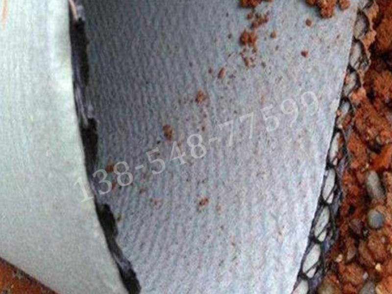 三维复合排水网结构特点与工程应用优势分析(图1) 1-210926152KC24.jpg