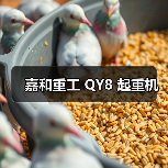 嘉和重工 QY8 起重机（图2）