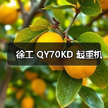 徐工 QY70KD 起重机(图4) 徐工 QY70KD 起重机(图4)