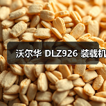 沃尔华 DLZ926 装载机(图1) 沃尔华 DLZ926 装载机(图1)