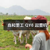 嘉和重工 QY8 起重机(图3) 嘉和重工 QY8 起重机(图3)