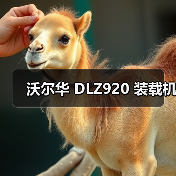 沃尔华 DLZ920 装载机（图2）