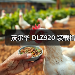 沃尔华 DLZ920 装载机（图1）