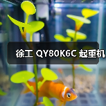 徐工 QY80K6C 起重机（图4）