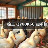 徐工 QY80K6C 起重机（图2）