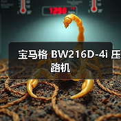 宝马格 BW216D-4i 压路机（图1）