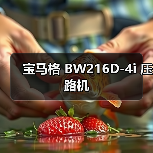 宝马格 BW216D-4i 压路机（图3）