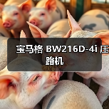 宝马格 BW216D-4i 压路机（图4）