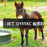 徐工 QY85KC 起重机（图4）