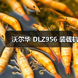 沃尔华 DLZ956 装载机（图1）