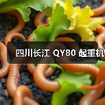 四川长江 QY80 起重机（图4）