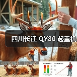 四川长江 QY80 起重机（图2）