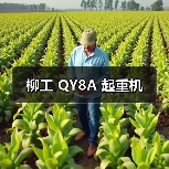 柳工 QY8A 起重机（图2）