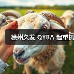 徐州久发 QY8A 起重机（图2）