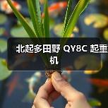 北起多田野 QY8C 起重机（图2）
