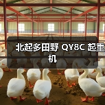 北起多田野 QY8C 起重机（图4）