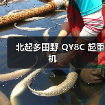 北起多田野 QY8C 起重机（图3）