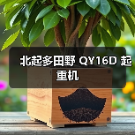 北起多田野 QY16D 起重机（图2）