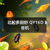 北起多田野 QY16D 起重机（图4）