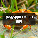 北起多田野 QY16D 起重机（图1）