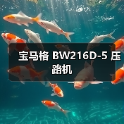 宝马格 BW216D-5 压路机（图3）
