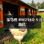 宝马格 BW216D-5 压路机（图4）
