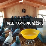 成工 CG960K 装载机（图3）