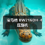 宝马格 BW216DH-4 压路机（图3）