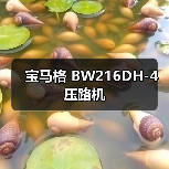 宝马格 BW216DH-4 压路机（图2）