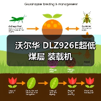 沃尔华 DLZ926E超低煤层 装载机（图2）