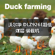 沃尔华 DLZ926E超低煤层 装载机（图1）