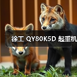 徐工 QY80K5D 起重机（图4）