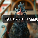 徐工 QY80K5D 起重机（图2）