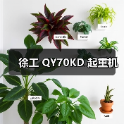 徐工 QY70KD 起重机（图1）