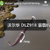 沃尔华 DLZ918 装载机（图2）