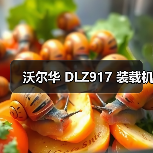 沃尔华 DLZ917 装载机（图1）