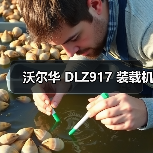 沃尔华 DLZ917 装载机（图2）