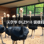 沃尔华 DLZ918 装载机（图3）