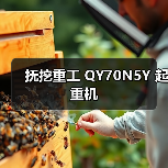抚挖重工 QY70N5Y 起重机（图1）