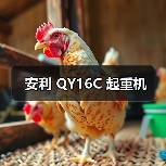 安利 QY16C 起重机（图3）