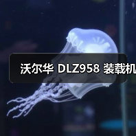 沃尔华 DLZ958 装载机（图2）