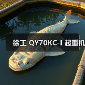 徐工 QY70KC-I 起重机（图1）