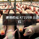建德机械 KT220B 压路机（图2）